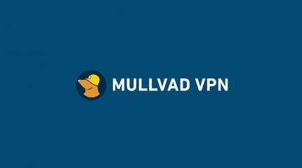 Tor объединяет усилия с компанией VPN для создания нового браузера повышенной конфиденциальности