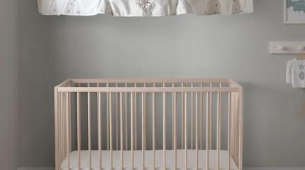 Стало известно, что IKEA уничтожает последние древние леса в Европе