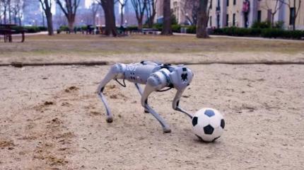 Driblebot может играть в футбол на песке, гравии, грязи и снеге