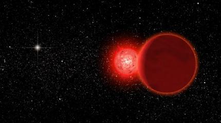 Маленькая звезда и ее коричневый спутник удивили астрономов