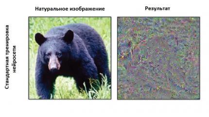 Исследователи рассказали о том, как нейросети воспринимают действительность