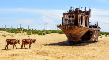 Выяснилось, что суша вокруг Аральского моря... стремительно поднимается