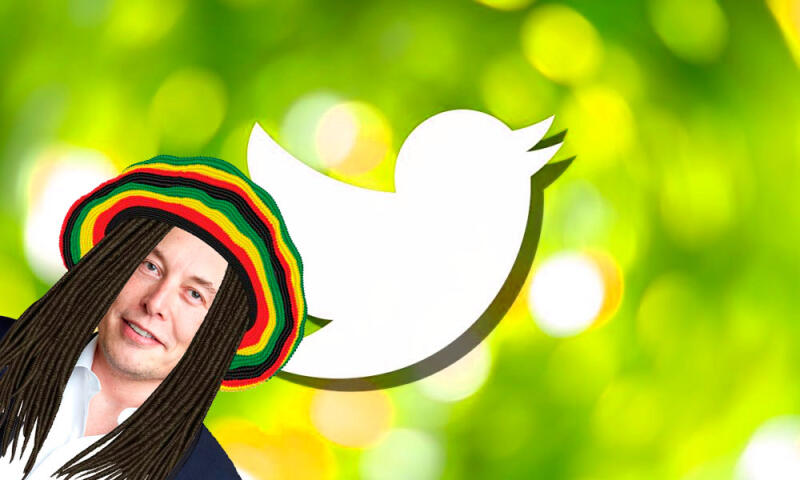 Twitter разрешит рекламу каннабиса на платформе с сегодняшнего дня