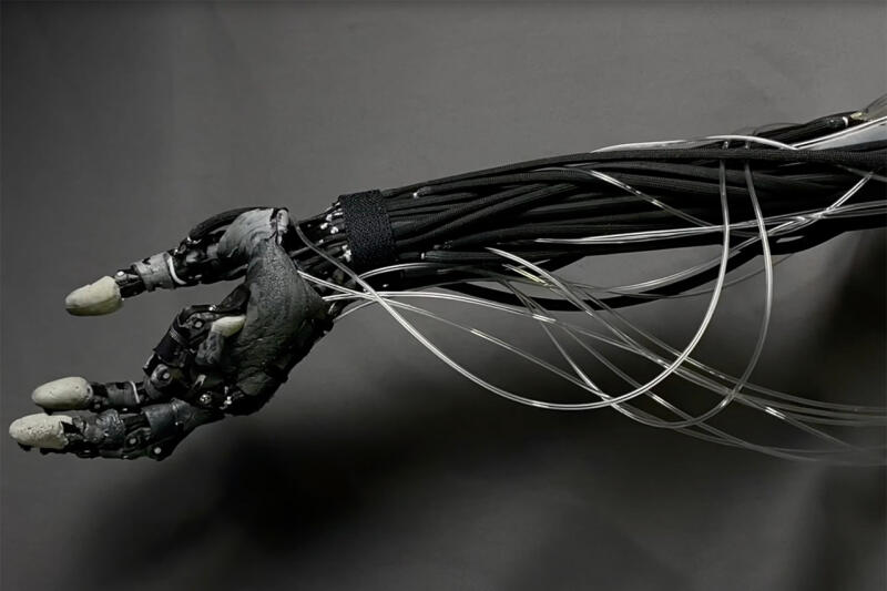 Clone Robotics представила робо-руку с мышечными волокнами и реалистичными движениями