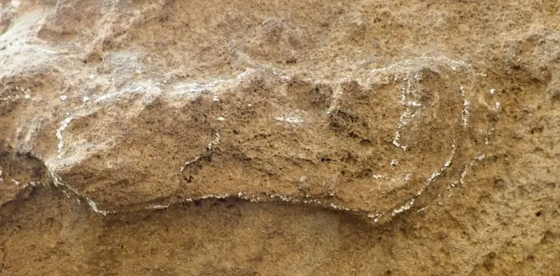 Обнаружен самый старый из когда-либо найденных следов Homo Sapiens
