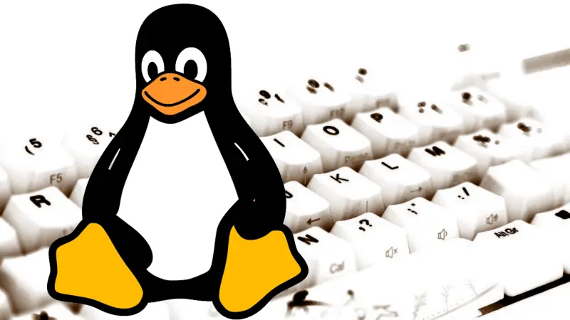 Linux достигла рекордно высокого уровня в 3% от доли настольных ПК