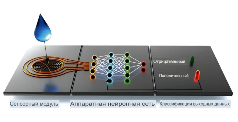 Революционный способ обучения нейроморфных чипов