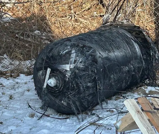 Польша, Вашингтон, Техас: Куда еще упадут обломки ракет Маска?
