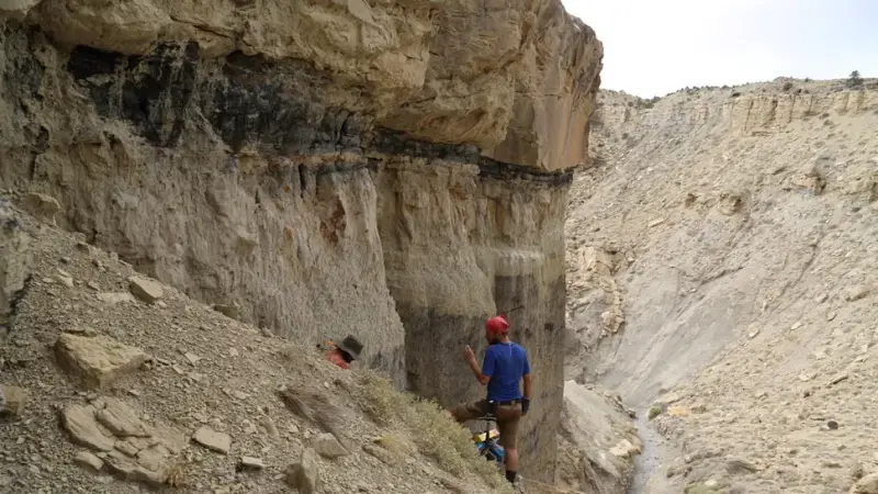 Если бы не астероид, динозавры до сих пор жили бы на планете